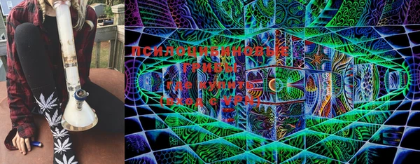круглые Алексеевка