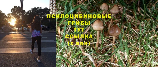 круглые Алексеевка